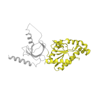 The deposited structure of PDB entry 1vyv contains 2 copies of SCOP domain 52541 (Nucleotide and nucleoside kinases) in Voltage-dependent L-type calcium channel subunit beta-4. Showing 1 copy in chain B.