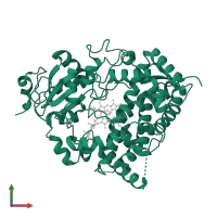 Cytochrome P450 3A4 in PDB entry 1w0f, assembly 1, front view.