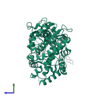 Cytochrome P450 3A4 in PDB entry 1w0f, assembly 1, side view.