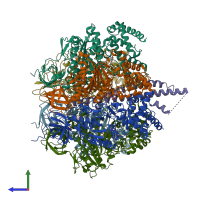 PDB entry 1w0k coloured by chain, side view.
