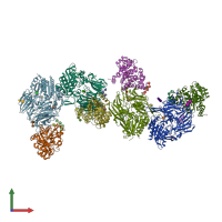 PDB entry 1w1i coloured by chain, front view.