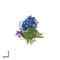 PDB entry 1w1w coloured by chain, side view.