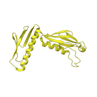 The deposited structure of PDB entry 1w2b contains 1 copy of SCOP domain 58124 (Large subunit) in Large ribosomal subunit protein uL6. Showing 1 copy in chain J [auth E].