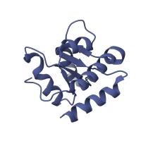 The deposited structure of PDB entry 1w2b contains 1 copy of SCOP domain 58124 (Large subunit) in Large ribosomal subunit protein eL8. Showing 1 copy in chain K [auth F].