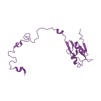 The deposited structure of PDB entry 1w2b contains 1 copy of SCOP domain 58124 (Large subunit) in Large ribosomal subunit protein uL15. Showing 1 copy in chain P [auth K].