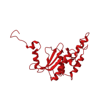 The deposited structure of PDB entry 1w2b contains 1 copy of SCOP domain 58124 (Large subunit) in Large ribosomal subunit protein uL18. Showing 1 copy in chain R [auth M].