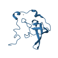 The deposited structure of PDB entry 1w2b contains 1 copy of Pfam domain PF01157 (Ribosomal protein L21e) in Large ribosomal subunit protein eL21. Showing 1 copy in chain U [auth P].