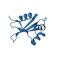 The deposited structure of PDB entry 1w2b contains 1 copy of CATH domain 3.30.70.330 (Alpha-Beta Plaits) in Large ribosomal subunit protein uL23. Showing 1 copy in chain W [auth R].