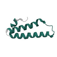 The deposited structure of PDB entry 1w2b contains 1 copy of Pfam domain PF00831 (Ribosomal L29 protein) in Large ribosomal subunit protein uL29. Showing 1 copy in chain Z [auth U].