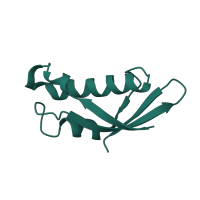 The deposited structure of PDB entry 1w2b contains 1 copy of SCOP domain 58124 (Large subunit) in Large ribosomal subunit protein eL31. Showing 1 copy in chain BA [auth W].