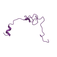 The deposited structure of PDB entry 1w2b contains 1 copy of SCOP domain 58124 (Large subunit) in Large ribosomal subunit protein eL37. Showing 1 copy in chain EA [auth Z].