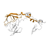 The deposited structure of PDB entry 1w2b contains 1 copy of CATH domain 2.40.50.140 (OB fold (Dihydrolipoamide Acetyltransferase, E2P)) in Large ribosomal subunit protein uL2. Showing 1 copy in chain F [auth A].