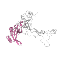 The deposited structure of PDB entry 1w2b contains 1 copy of CATH domain 3.30.1430.10 (Ribosomal Protein L3; Chain: B; domain 2,) in Large ribosomal subunit protein uL3. Showing 1 copy in chain G [auth B].