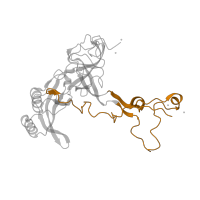 The deposited structure of PDB entry 1w2b contains 1 copy of CATH domain 4.10.960.10 (Ribosomal protein L3; domain 3) in Large ribosomal subunit protein uL3. Showing 1 copy in chain G [auth B].