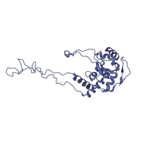 The deposited structure of PDB entry 1w2b contains 1 copy of SCOP domain 58124 (Large subunit) in Large ribosomal subunit protein uL4. Showing 1 copy in chain H [auth C].