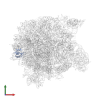 Large ribosomal subunit protein uL23 in PDB entry 1w2b, assembly 1, front view.