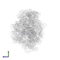 Large ribosomal subunit protein uL23 in PDB entry 1w2b, assembly 1, side view.