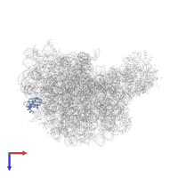 Large ribosomal subunit protein uL23 in PDB entry 1w2b, assembly 1, top view.