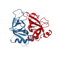 The deposited structure of PDB entry 1w2k contains 2 copies of CATH domain 2.40.10.10 (Thrombin, subunit H) in Factor VII heavy chain. Showing 2 copies in chain A [auth H].