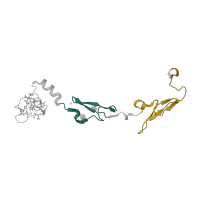 The deposited structure of PDB entry 1w2k contains 2 copies of SCOP domain 57197 (EGF-type module) in Factor VII light chain. Showing 2 copies in chain B [auth L].