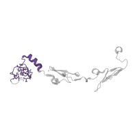 The deposited structure of PDB entry 1w2k contains 1 copy of SCOP domain 57631 (GLA-domain) in Factor VII light chain. Showing 1 copy in chain B [auth L].