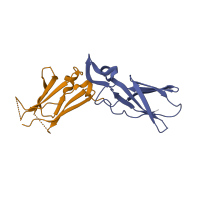 The deposited structure of PDB entry 1w2k contains 2 copies of SCOP domain 49266 (Fibronectin type III) in Tissue factor. Showing 2 copies in chain C [auth T].