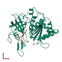 PDB entry 1w34 coloured by chain, front view.