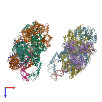 PDB entry 1w36 coloured by chain, top view.