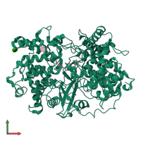 PDB entry 1w6k coloured by chain, front view.