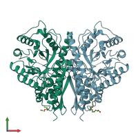 PDB entry 1w6t coloured by chain, front view.