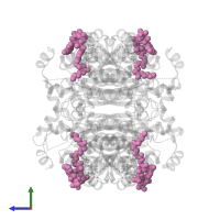 HEXANOYL-COENZYME A in PDB entry 1w6u, assembly 1, side view.