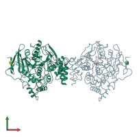 PDB entry 1w75 coloured by chain, front view.