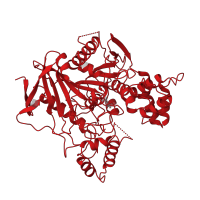 The deposited structure of PDB entry 1w76 contains 2 copies of CATH domain 3.40.50.1820 (Rossmann fold) in Acetylcholinesterase. Showing 1 copy in chain A.