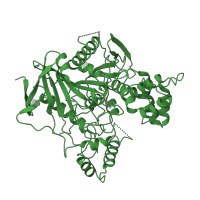The deposited structure of PDB entry 1w76 contains 2 copies of SCOP domain 53475 (Acetylcholinesterase-like) in Acetylcholinesterase. Showing 1 copy in chain A.