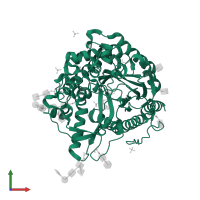 Myrosinase MA1 in PDB entry 1w9d, assembly 1, front view.