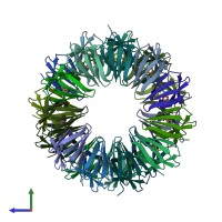 PDB entry 1wap coloured by chain, side view.