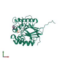 PDB entry 1war coloured by chain, front view.