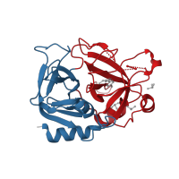 The deposited structure of PDB entry 1wbg contains 2 copies of CATH domain 2.40.10.10 (Thrombin, subunit H) in Thrombin heavy chain. Showing 2 copies in chain B.