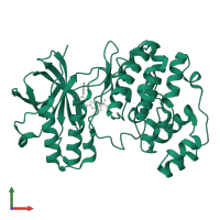 Mitogen-activated protein kinase 14 in PDB entry 1wbn, assembly 1, front view.