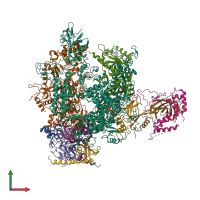 Hetero dodecameric assembly 1 of PDB entry 1wcm coloured by chemically distinct molecules, front view.