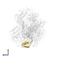 DNA-directed RNA polymerase II subunit RPB11 in PDB entry 1wcm, assembly 1, side view.