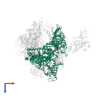 DNA-directed RNA polymerase II subunit RPB1 in PDB entry 1wcm, assembly 1, top view.