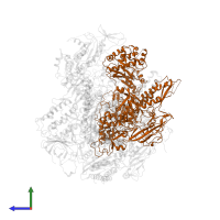 DNA-directed RNA polymerase II subunit RPB2 in PDB entry 1wcm, assembly 1, side view.