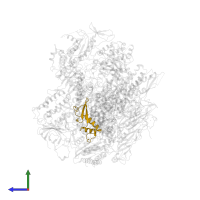 DNA-directed RNA polymerases I, II, and III subunit RPABC2 in PDB entry 1wcm, assembly 1, side view.