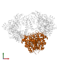 3-ketoacyl-CoA thiolase in PDB entry 1wdl, assembly 1, front view.