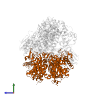 3-ketoacyl-CoA thiolase in PDB entry 1wdl, assembly 1, side view.