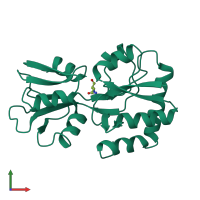 3D model of 1wdn from PDBe