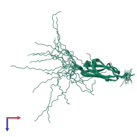 PDB entry 1wgo coloured by chain, ensemble of 20 models, top view.