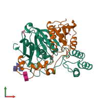 PDB entry 1whs coloured by chain, front view.