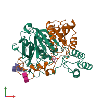 PDB entry 1wht coloured by chain, front view.